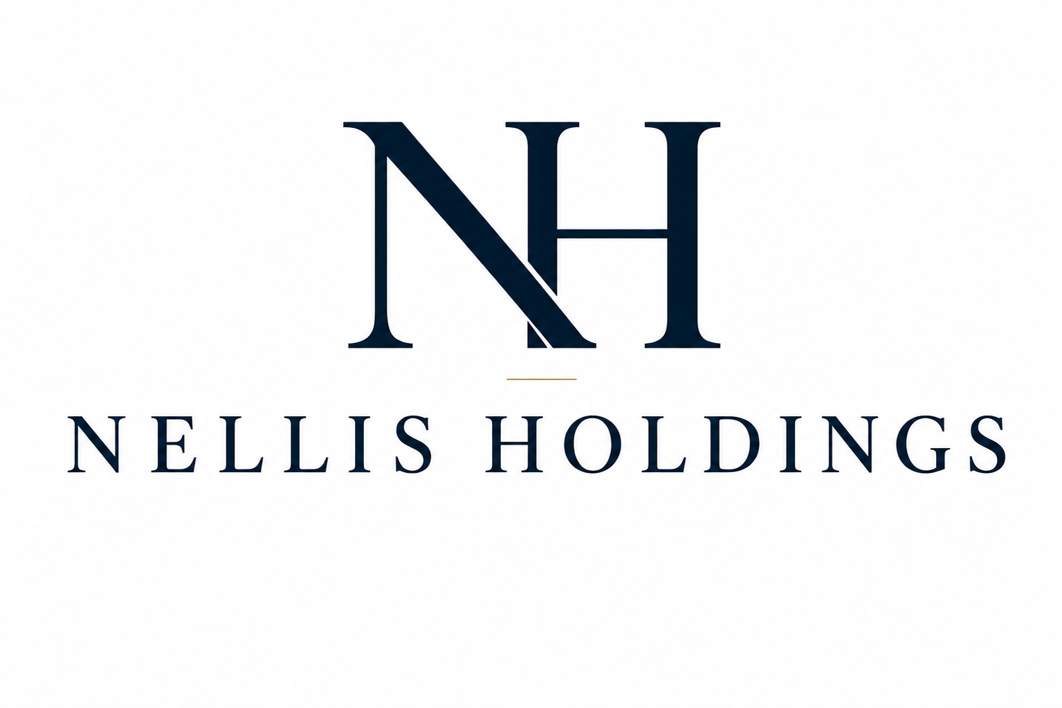 Nellis Holdings, LLC